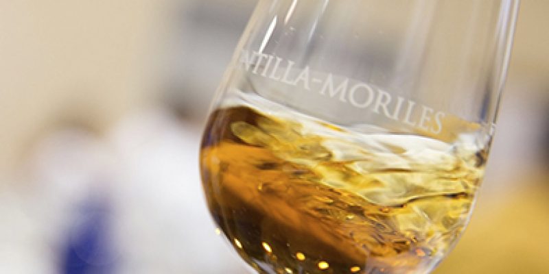 La culture du vin de Montilla-Moriles