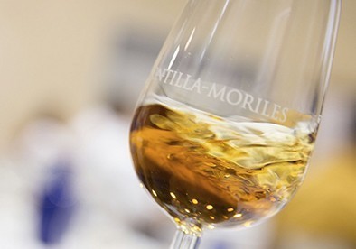 La culture du vin de Montilla-Moriles