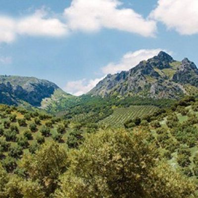Senderismo y oleoturismo en las Sierras Subbéticas: escapada de fin de semana por Córdoba