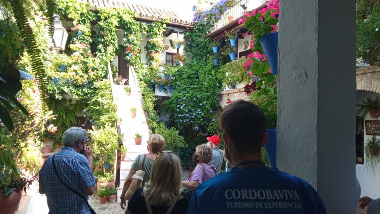 Cordobaviva