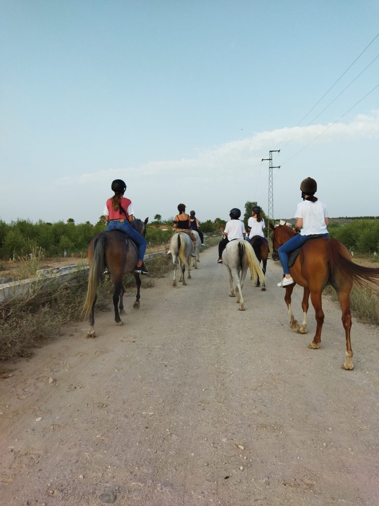 Equestrian Centre – El Cañuelo