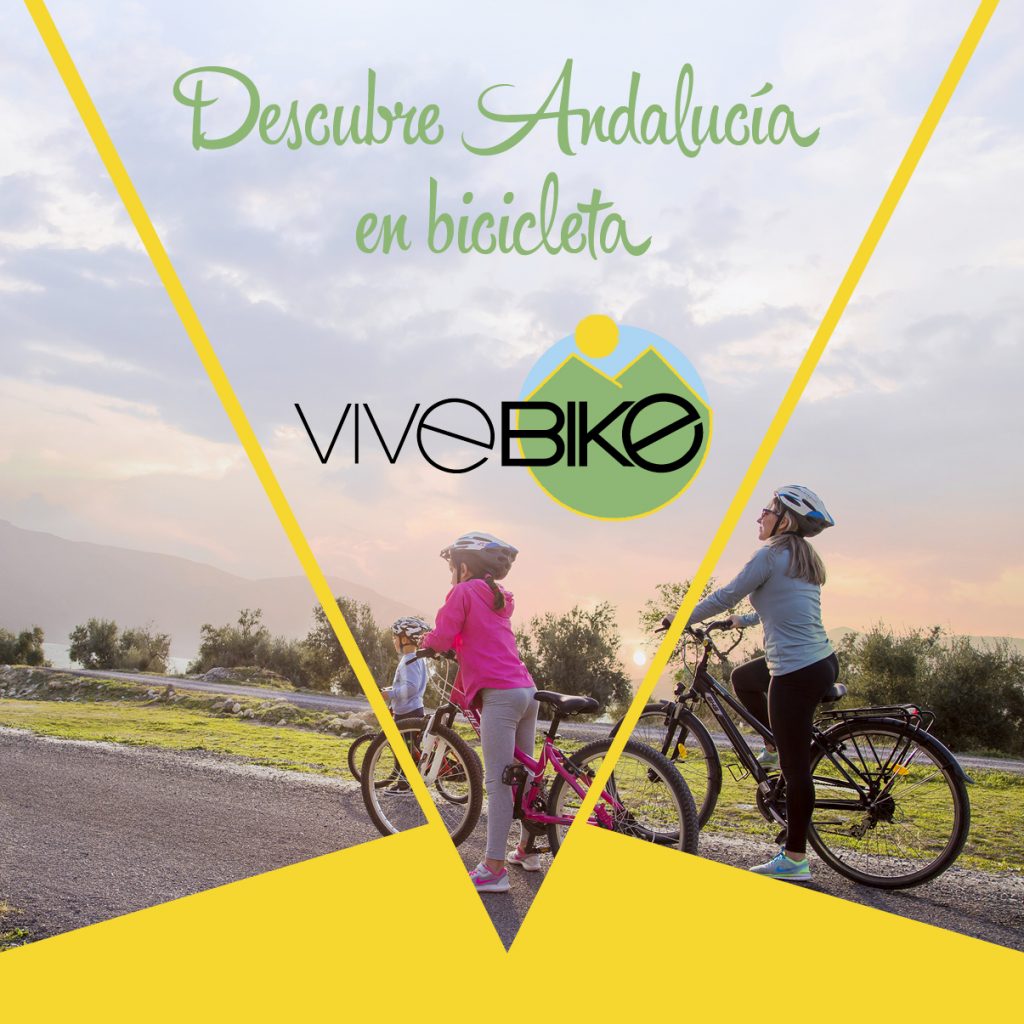 Vive Bike – Experiencias
