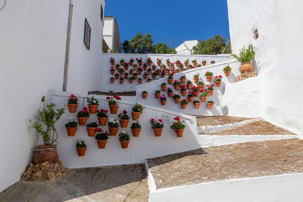 Carcabuey, Casas rurales en Córdoba: actividades y gastronomía en la provincia