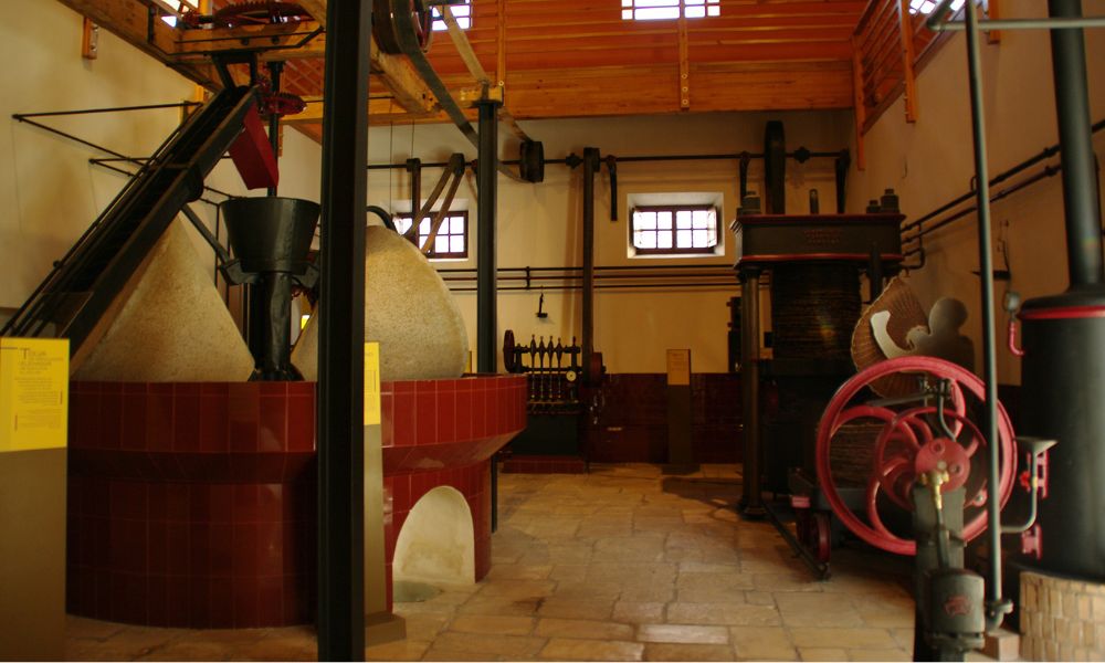 Museo del Olivar y el Aceite, Baena