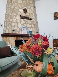 Casa rural La Sierrezuela chimenea