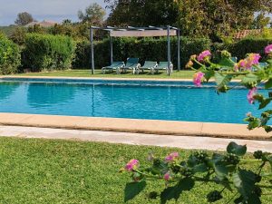 Casa Rural El Olmo piscina