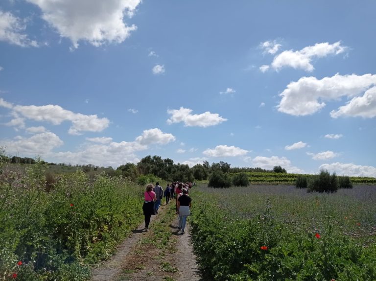 Qué ver en la Campiña Sur Cordobesa: guía completa de una comarca que huele a vino y a historia